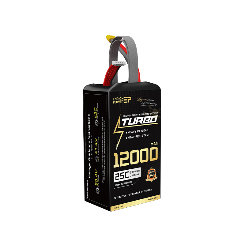 T1_12000_12S