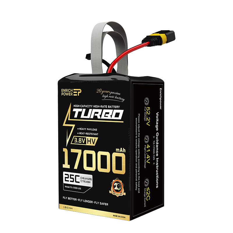 T2_17000_12S
