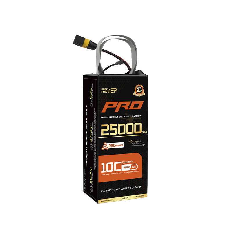 P-25000-12S