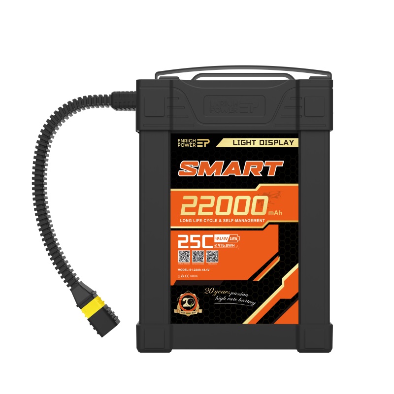 S1-22Ah-44.4V