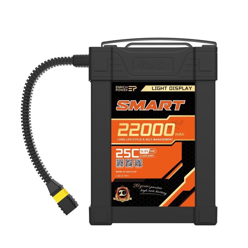 S1-22Ah-51.8V